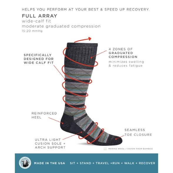 Infographic Image of color Charcoal