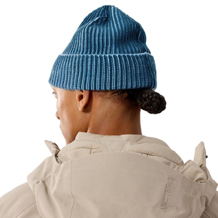Arc'teryx Ribbed Toque 2