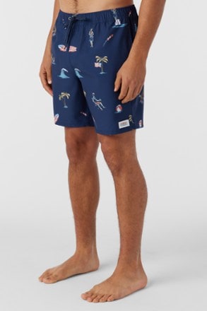O'Neill Hermosa Elastic Waist 17" Swim Trunks - Men's 3