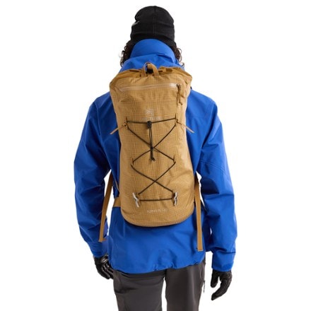 Arc'teryx Alpha FL 20 Pack 1