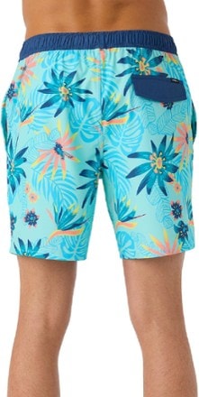 O'Neill Hermosa Elastic Waist Lined 17" Swim Trunks - Men's 1