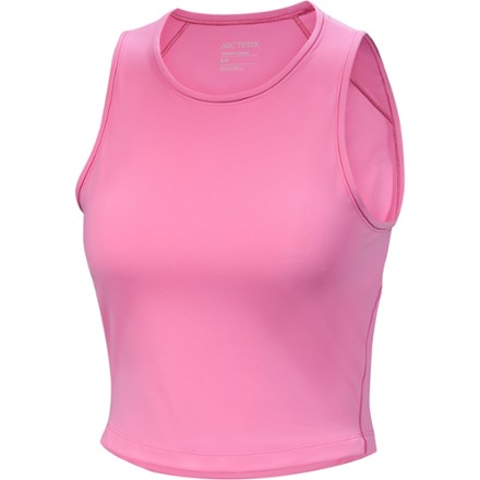 Arc'teryx Soria Tank Top - Women's 8