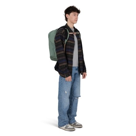 Osprey Proxima Earth Pack 30 5