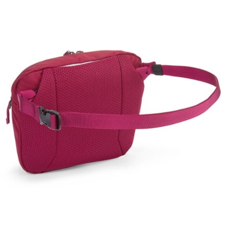Arc'teryx Mantis 2 Waist Pack 1