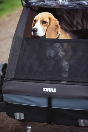 Thule Courier Dog Trailer Kit 8