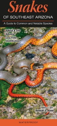 Quick Reference Publishing Snakes of Southeast Arizona 0