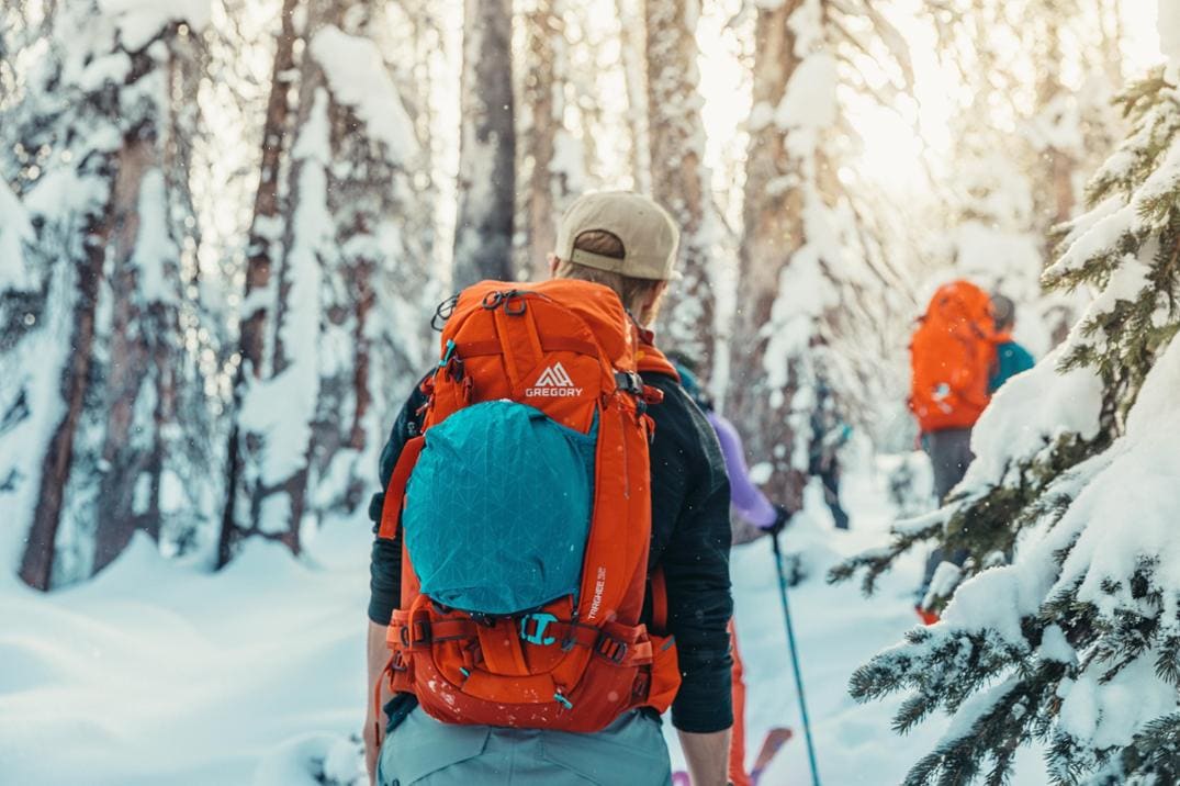 Location Image for Targhee 32 Snow Pack