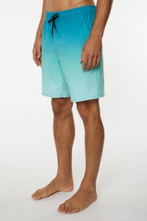 O'Neill Stockton Print E-Waist Hybrid Shorts - Men's 3
