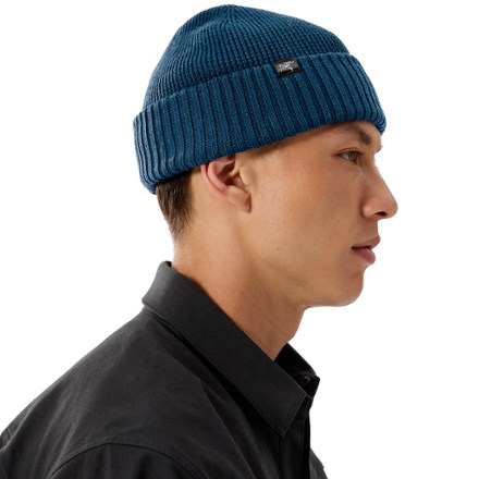 Arc'teryx Mallow Toque | REI Co-op
