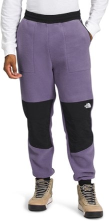 The North Face Denali Fleece Pants   Men's   REI Co op