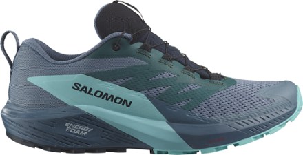 accent kroon Achterhouden Salomon Sense Ride 5 GORE-TEX Trail-Running Shoes - Men's | REI Co-op