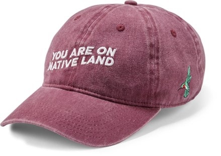 Urban Native Era You Are On Native Land Everyday Cap 1