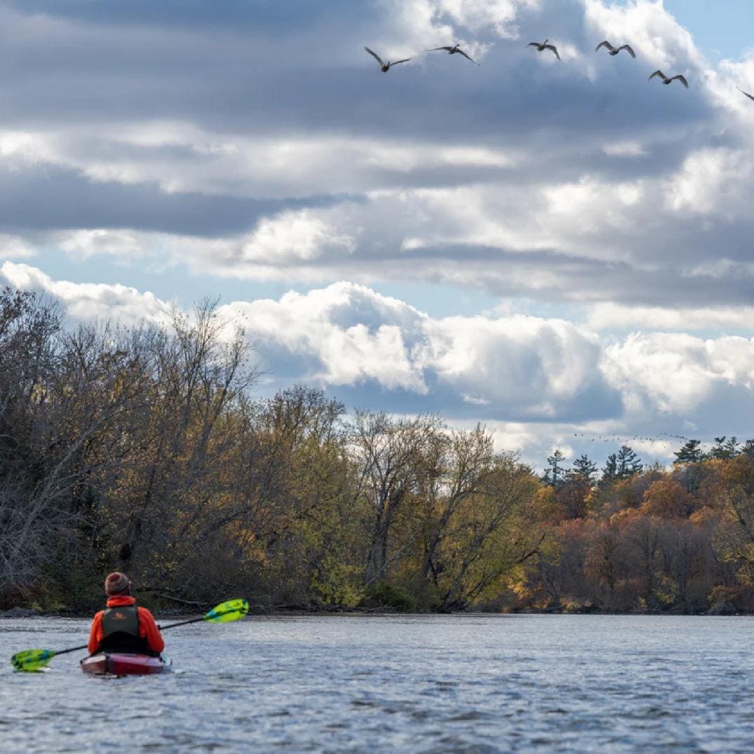 Location Image for Whiskey Fiberglass 2-Piece Straight Shaft Kayak Paddle