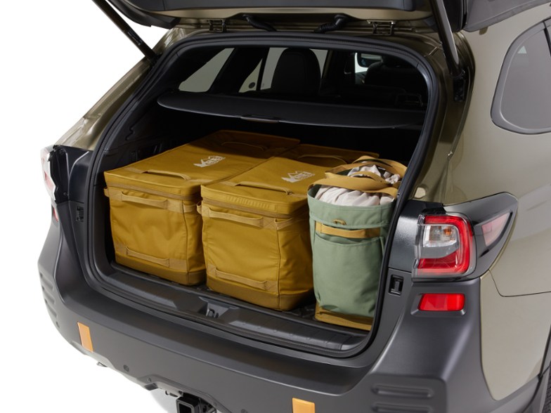 Product Image of color Asparagus