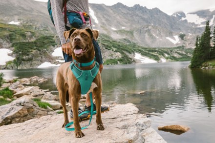 Ruffwear Front Range Leash 7