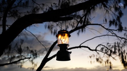 Coleman Fuel-Powered Lanterns | REI Co-op