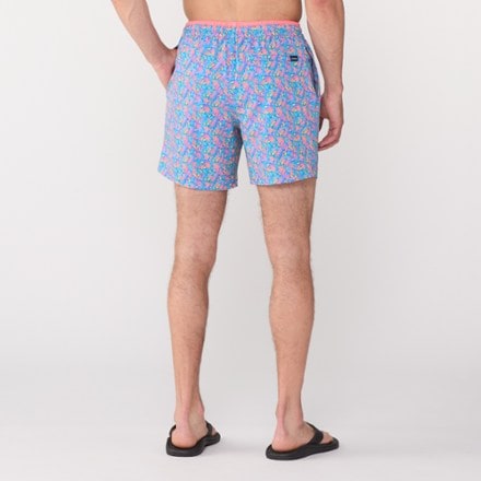 Chubbies Stretch 5.5" Lined Swim Trunks - Men's 2