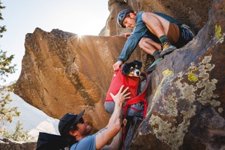 Ruffwear Hitch Hiker Dog Pack Carrier 4