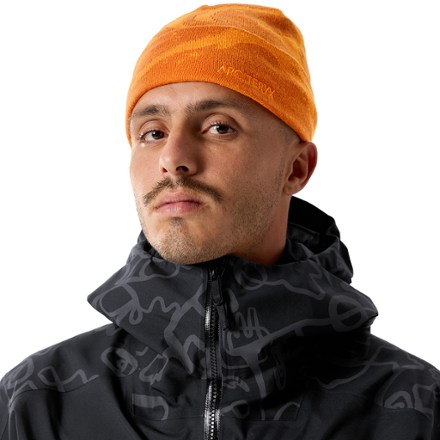 グロット トーク　Arctic Silk/Warm Stone / NA Arc'teryx Grotto Talk Arctic Silk Warm Stone Beanie | eBay