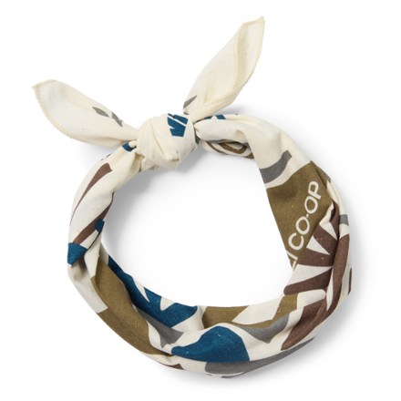 REI Co-op Graphic Bandana 4