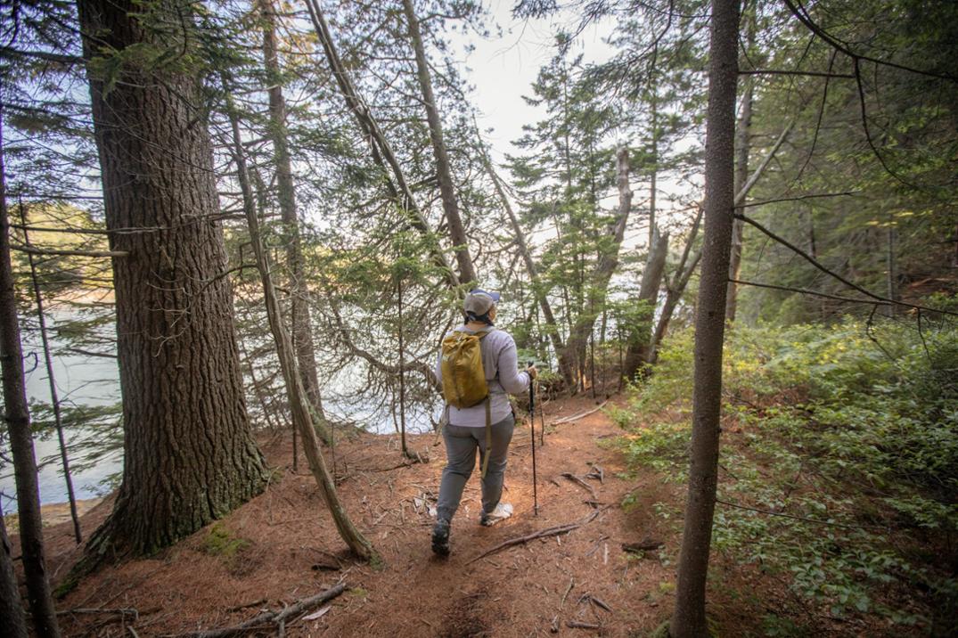 Location Image for Flash 18 Pack