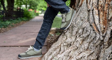 Location Image of color Olive