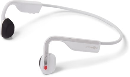 Shokz OpenMove Headphones