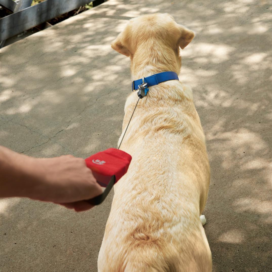 Location Image for RadDog Retractable Pocket Leash - Large