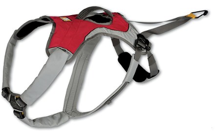 Harness and girth strap (Red Currant)