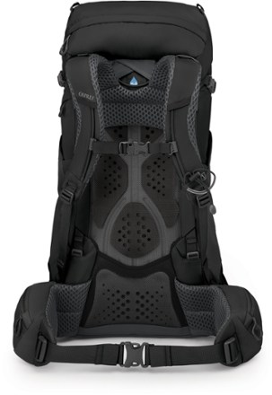 Kyte 38 Pack - Women's