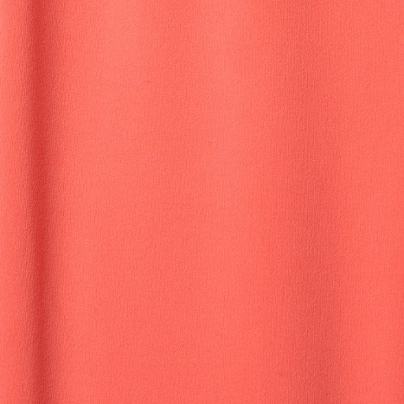 Swatch Image of color Bright Coral