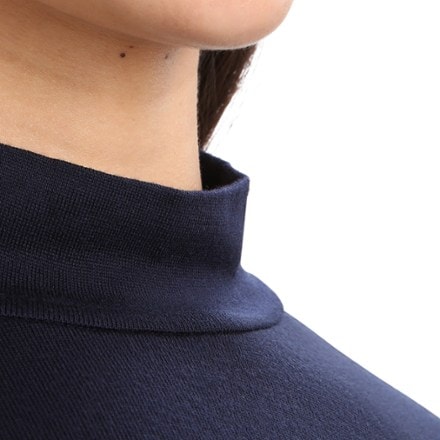 Icebreaker Merino 260 Oasis Long-Sleeve Turtleneck Base Layer Top - Women's 6