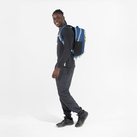 Sherpani Quest 20 L Day Bag 6