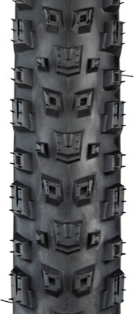 Teravail Warwick Durable Tire 1