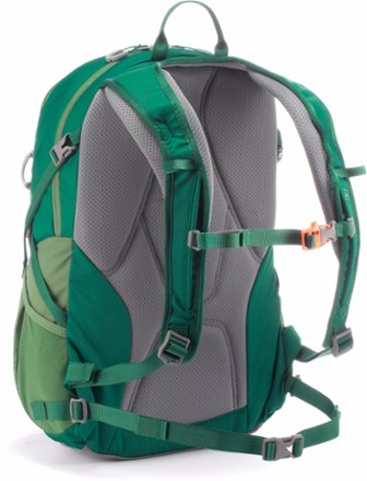 back view (Arugula/Field Green)