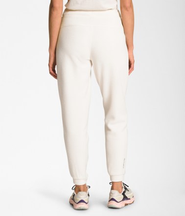 The North Face Alpine Polartec 200 Pants - Women's 1