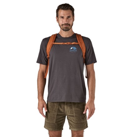 Patagonia Refugio 26L Pack 2