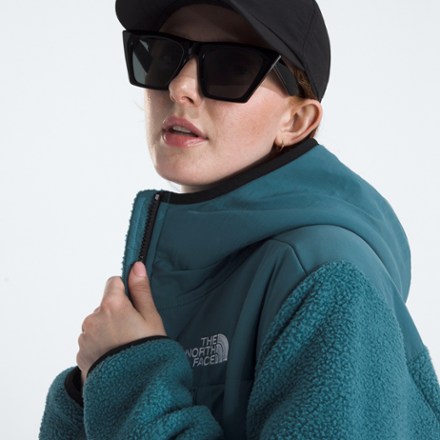 The North Face Retro Denali Hoodie - Women's 6