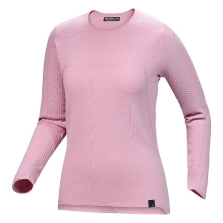 Arc'teryx Hallam Merino Wool Crewneck - Women's 0
