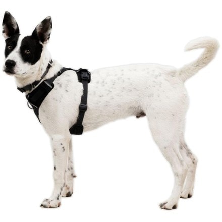 Ruffwear Front Range Flex Harness 6