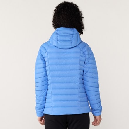 Patagonia Down Sweater Hoody - Women's 2