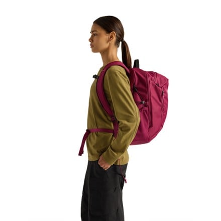 Arc'teryx Mantis 26 Pack 6