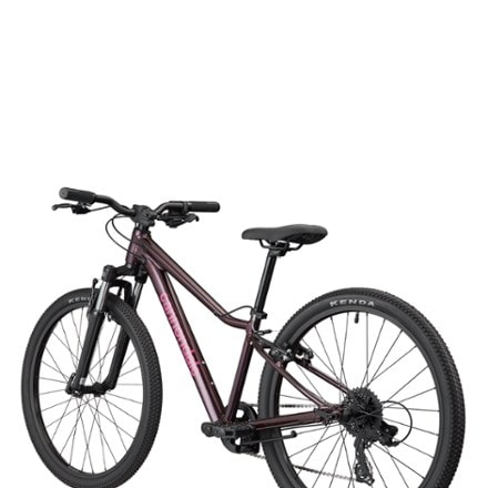 Cannondale Trail 24 Kids' Bike 6