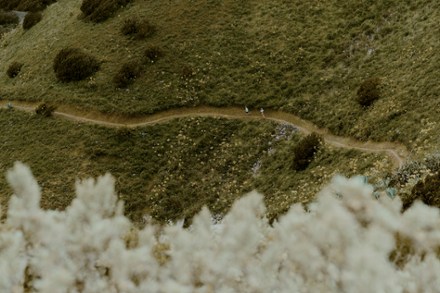 Location Image of color Eggshell