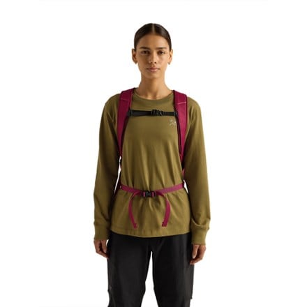 Arc'teryx Mantis 26 Pack 2