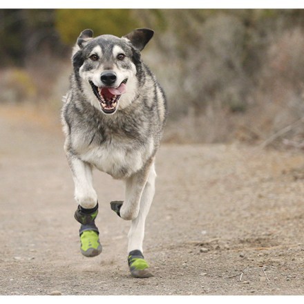 In-Use (Forest Green)