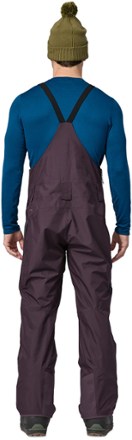 Patagonia Powder Town Bib Pants - Men's 2