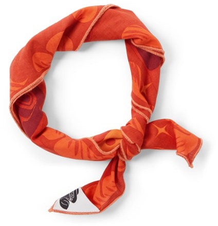 BANDITS Ravens and Eagles at Sunrise Bandana 2