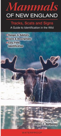 Quick Reference Publishing Mammals of New England 0
