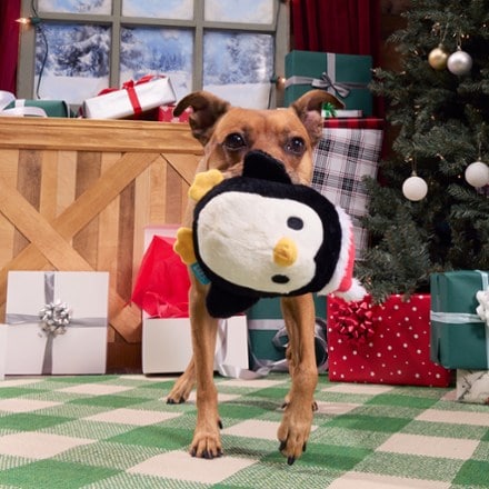 Bark South Pole Santa Dog Toy 2
